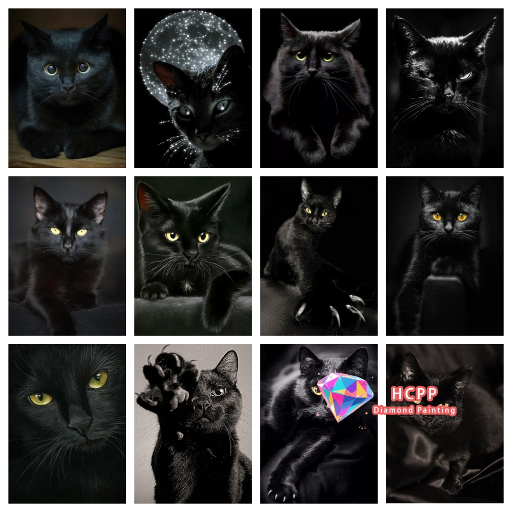 Resin Art Gift - unframe Black Cat Animal Diamond Painting