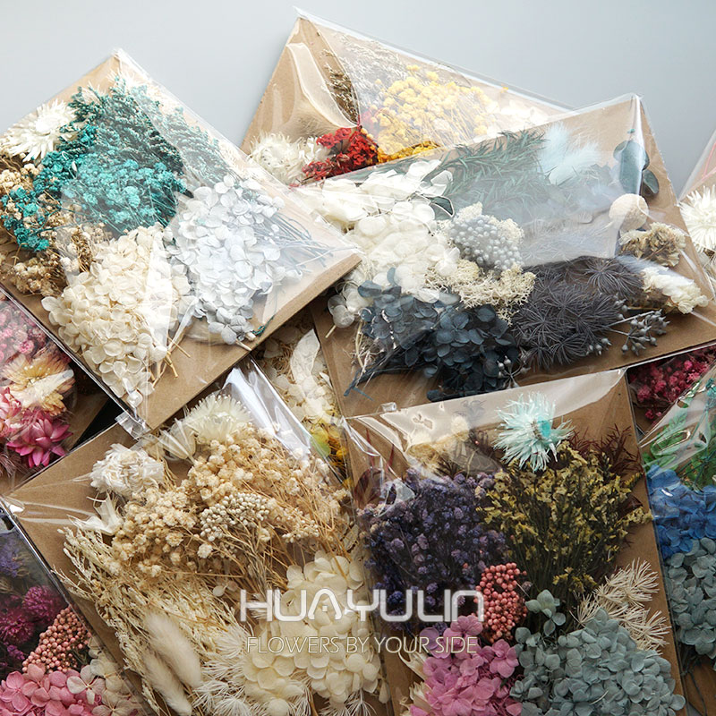 Dried Flower Pressed - 1 Pack Artificial Plants Dried Real