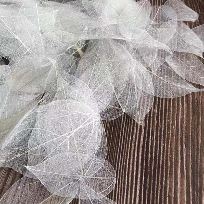 5~9CM*2~3.5CM,100PCS/Set,Real  - Dried Flower Pressed incelemesi ve fiyatı