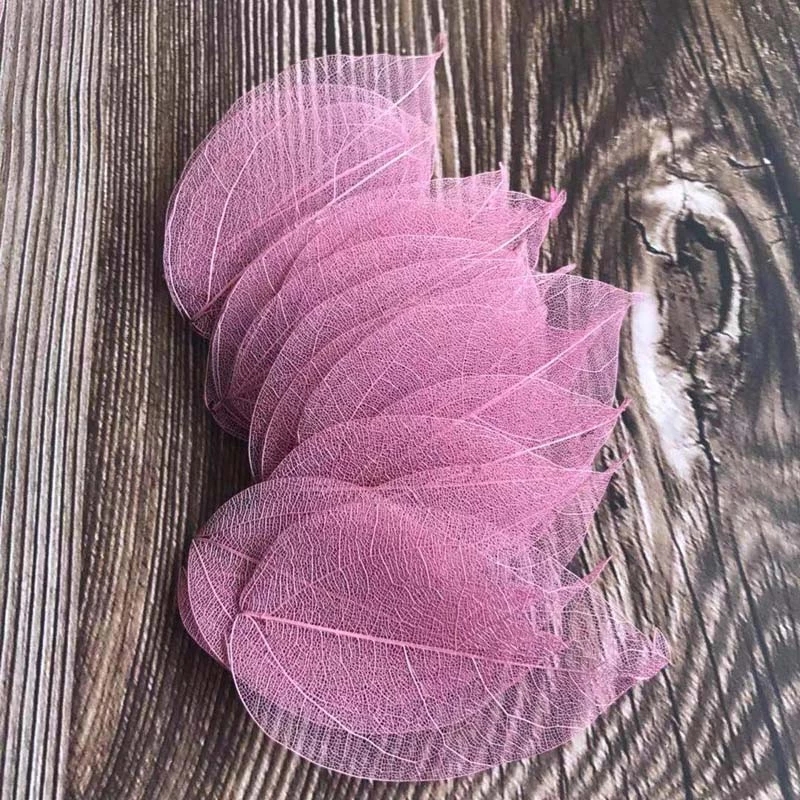5~9CM*2~3.5CM,100PCS/Set,Real  - Dried Flower Pressed incelemesi ve fiyatı