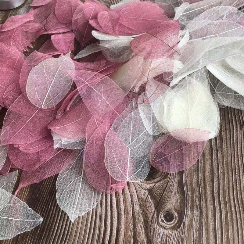 5~9CM*2~3.5CM,100PCS/Set,Real  - Dried Flower Pressed incelemesi ve fiyatı