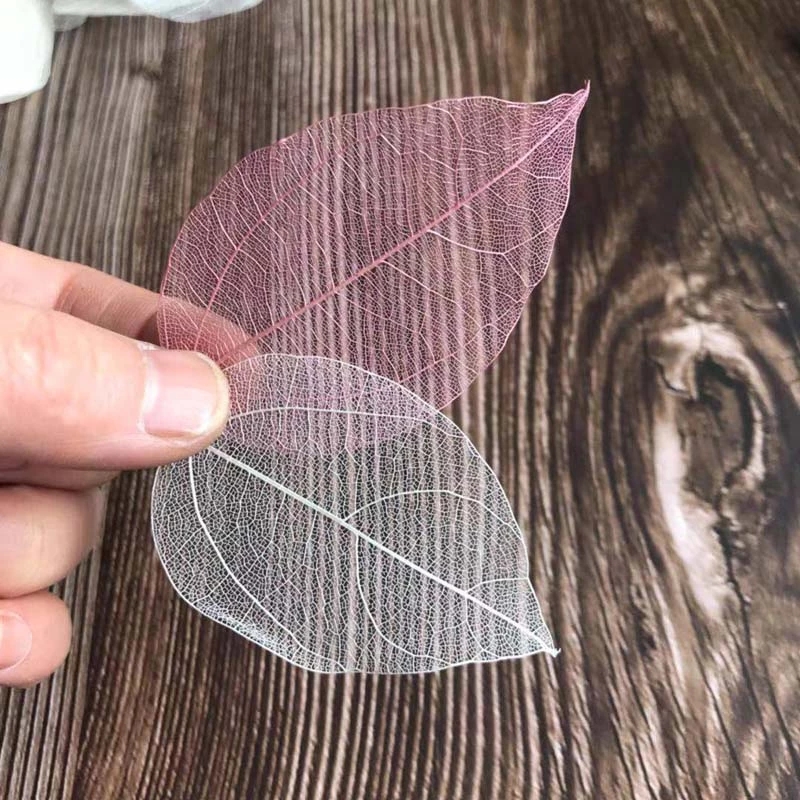 5~9CM*2~3.5CM,100PCS/Set,Real  - Dried Flower Pressed incelemesi ve fiyatı
