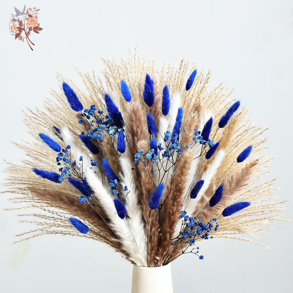 70 Stem Blue Fluffly Rabbit Ta - Dried Flower Pressed incelemesi ve fiyatı