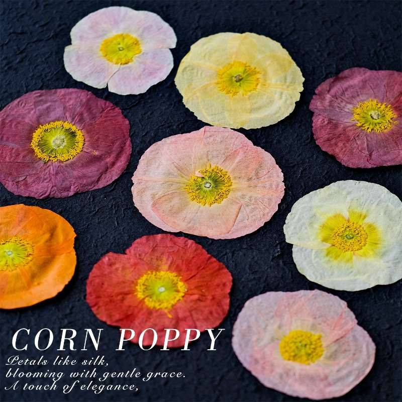 1pcs,Nature Field Poppy Presse - Dried Flower Pressed incelemesi ve fiyatı