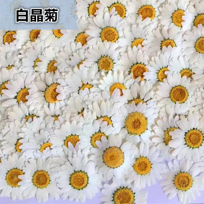 100Pcs Natural White Crystal C - Dried Flower Pressed incelemesi ve fiyatı