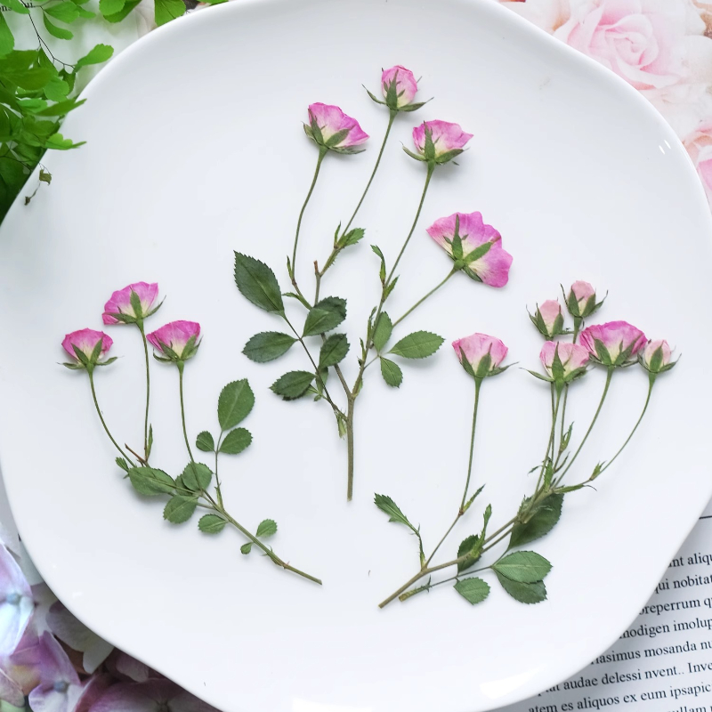 12pcs,Mini Pink Rose Pressed F - Dried Flower Pressed incelemesi ve fiyatı