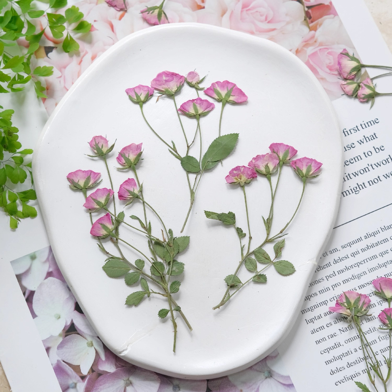 12pcs,Mini Pink Rose Pressed F - Dried Flower Pressed incelemesi ve fiyatı