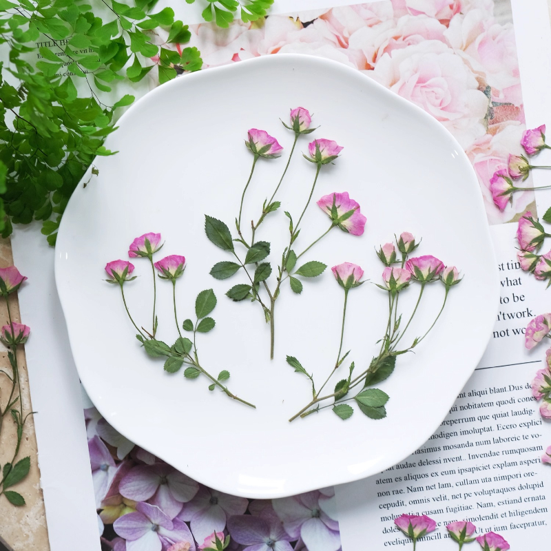 12pcs,Mini Pink Rose Pressed F - Dried Flower Pressed incelemesi ve fiyatı