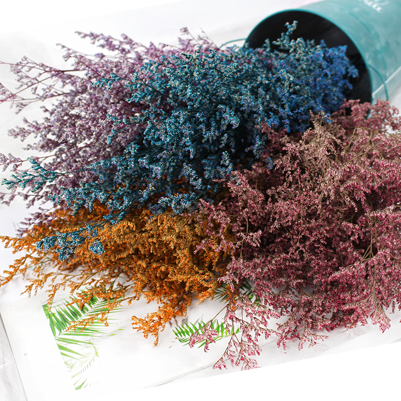 50g/Preserved Valentine's Gras - Dried Flower Pressed incelemesi ve fiyatı