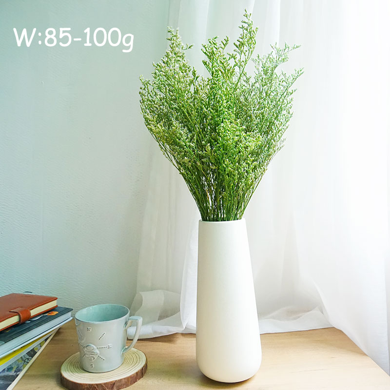 50g/Preserved Valentine's Gras - Dried Flower Pressed incelemesi ve fiyatı