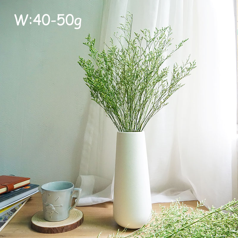 50g/Preserved Valentine's Gras - Dried Flower Pressed incelemesi ve fiyatı