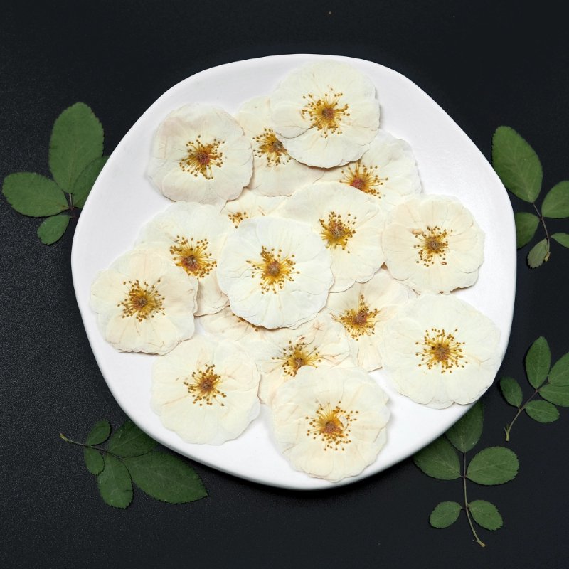 6pcs,9pcs,Nature White Rose Pr - Dried Flower Pressed incelemesi ve fiyatı