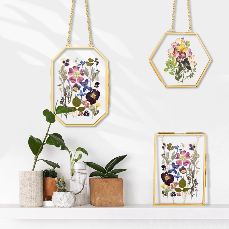 3 Pcs Pressed Flower Frames wi - Dried Flower Pressed incelemesi ve fiyatı