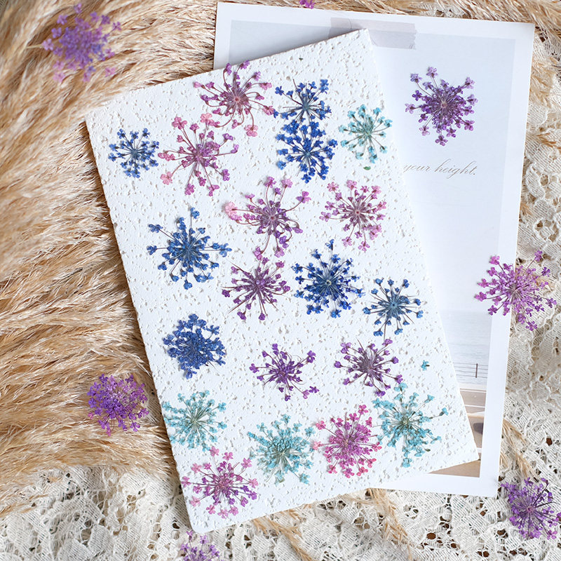 24pcs,2-2.5cm,nature Dyed Mini - Dried Flower Pressed incelemesi ve fiyatı