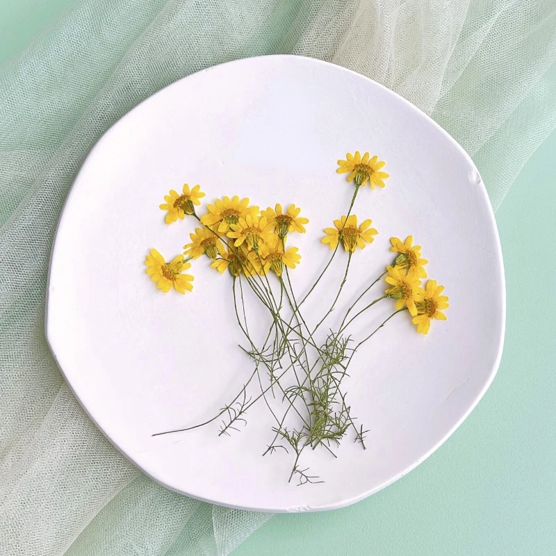 6-10cm/24pcs,nature pressed Ch - Dried Flower Pressed incelemesi ve fiyatı