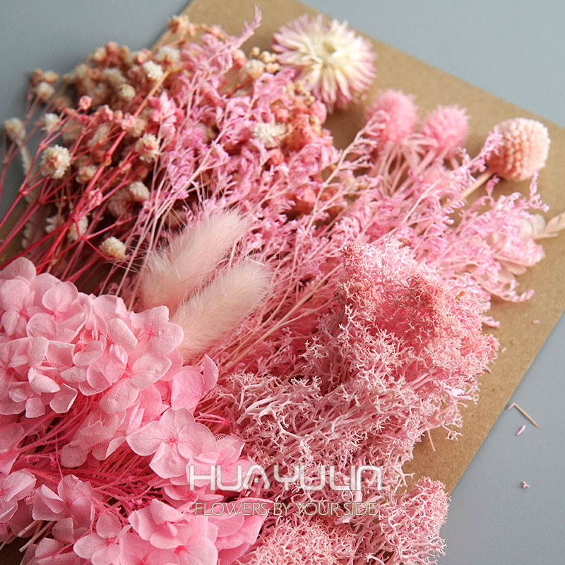 1 Pack Artificial Plants Dried - Dried Flower Pressed incelemesi ve fiyatı
