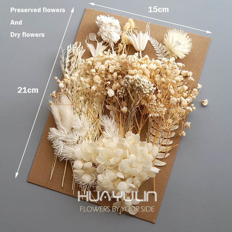 1 Pack Artificial Plants Dried - Dried Flower Pressed incelemesi ve fiyatı