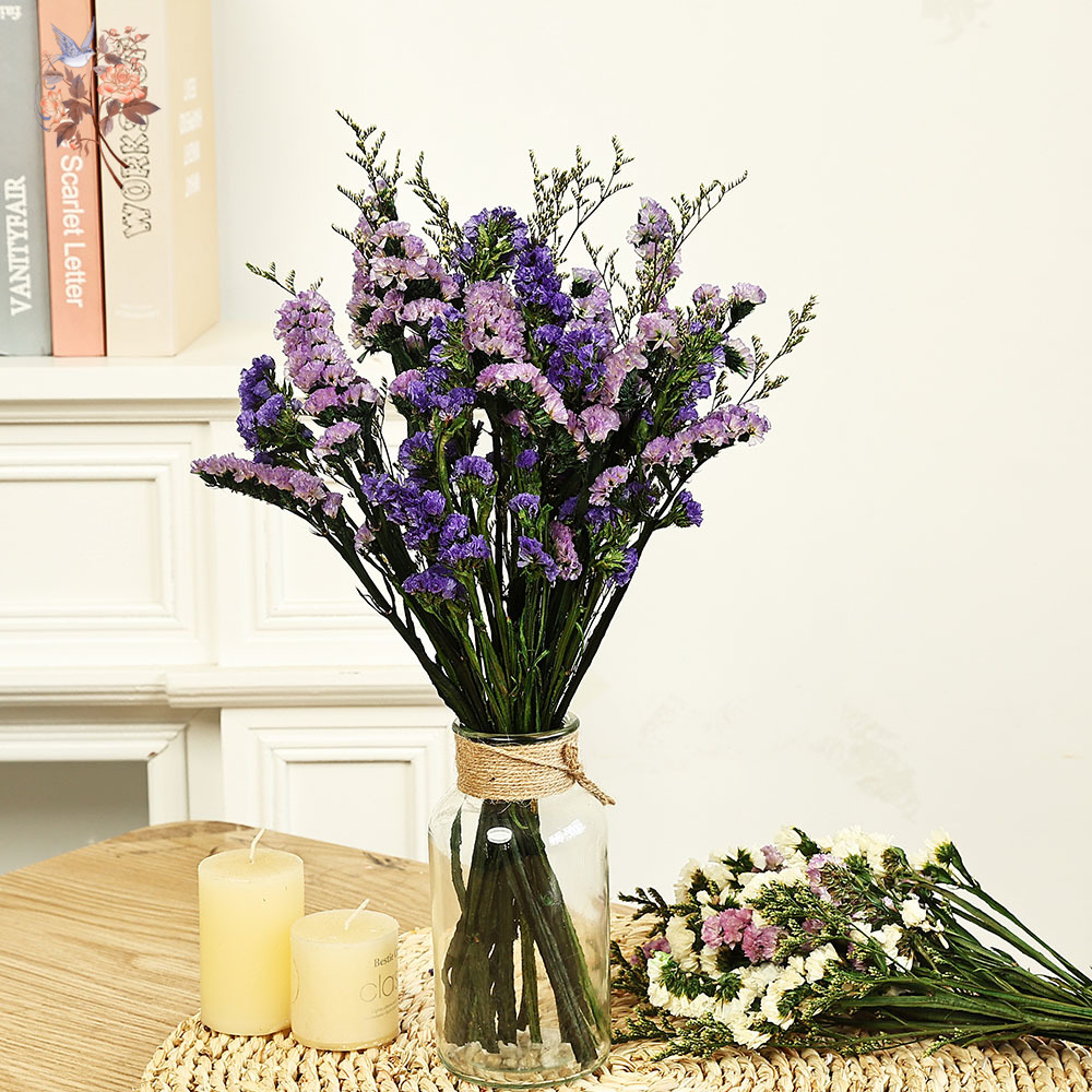 100g Natural Real Forget-me-no - Dried Flower Pressed incelemesi ve fiyatı