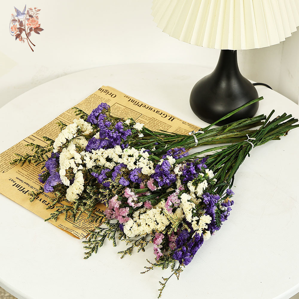 100g Natural Real Forget-me-no - Dried Flower Pressed incelemesi ve fiyatı