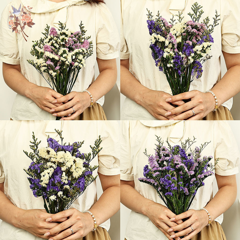 100g Natural Real Forget-me-no - Dried Flower Pressed incelemesi ve fiyatı