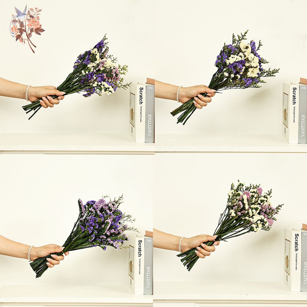 100g Natural Real Forget-me-no - Dried Flower Pressed incelemesi ve fiyatı