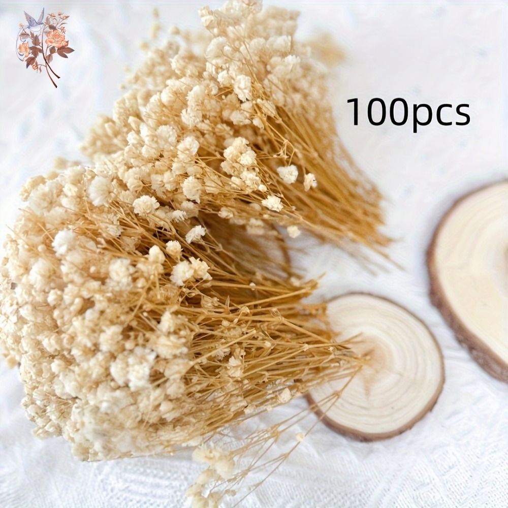 100pcs Mini Dried Baby's Breat - Dried Flower Pressed incelemesi ve fiyatı