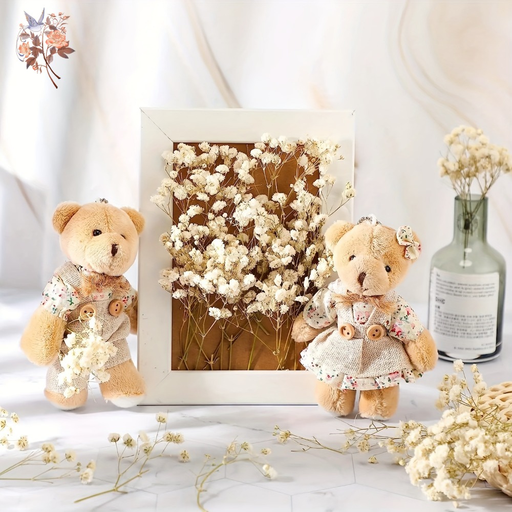 100pcs Mini Dried Baby's Breat - Dried Flower Pressed incelemesi ve fiyatı
