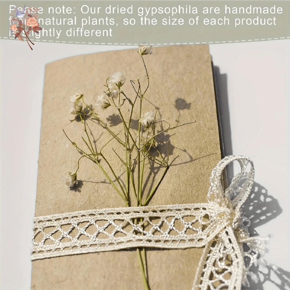 100pcs Mini Dried Baby's Breat - Dried Flower Pressed incelemesi ve fiyatı